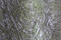 Wallaceton fibreglass roof work